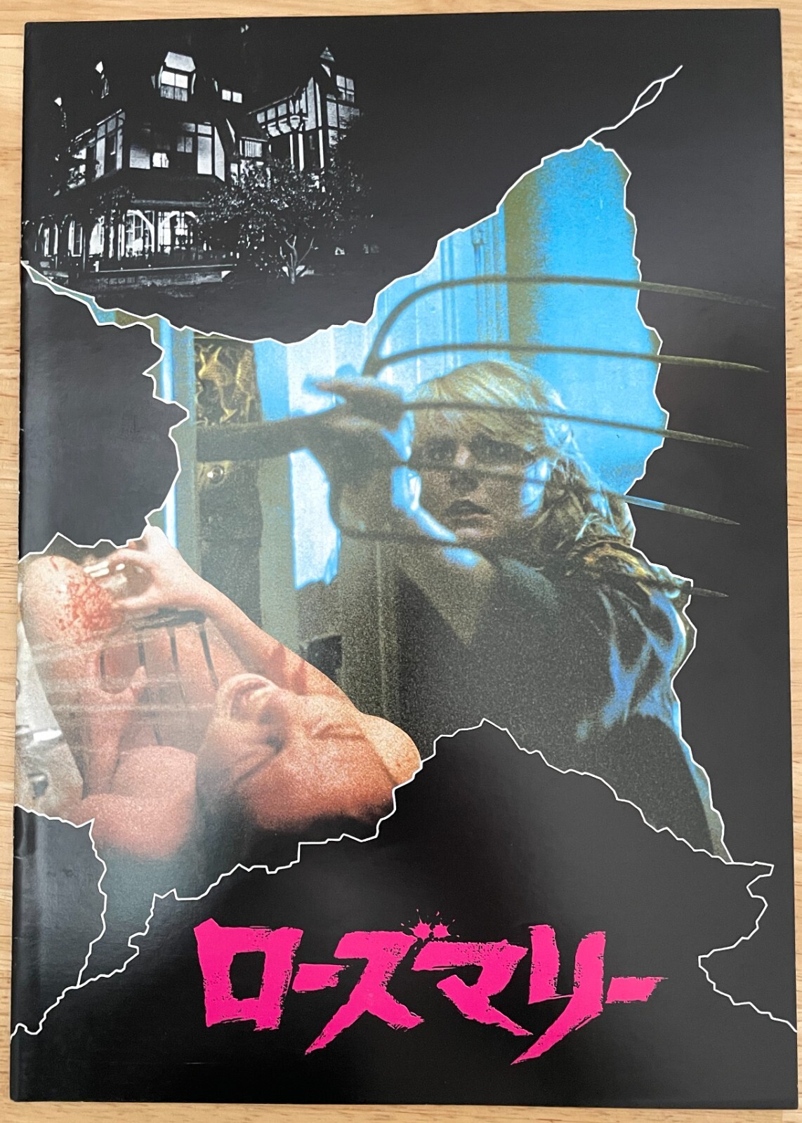 The Prowler 1981 Japanese Movie Programme (Rosemary’s Killer)