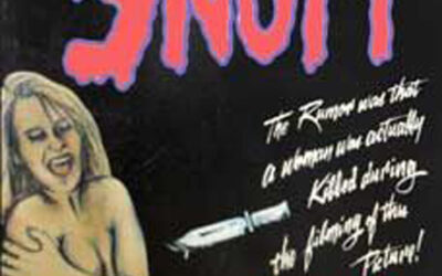 SNUFF WAREHOUSE VIDEO INC